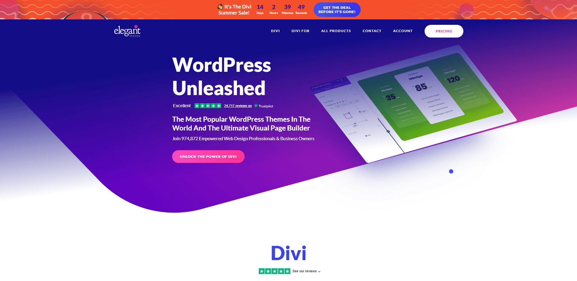 Interface du logiciel Elegant Themes