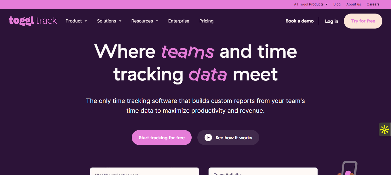 Interface du logiciel Toggl Track